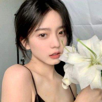 航海王伟大航道游戏下载